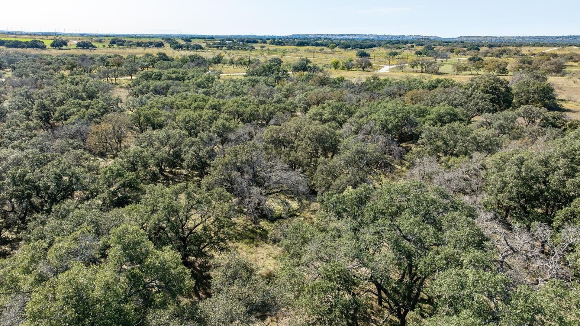 10.01 acres in Comanche County - photo 13