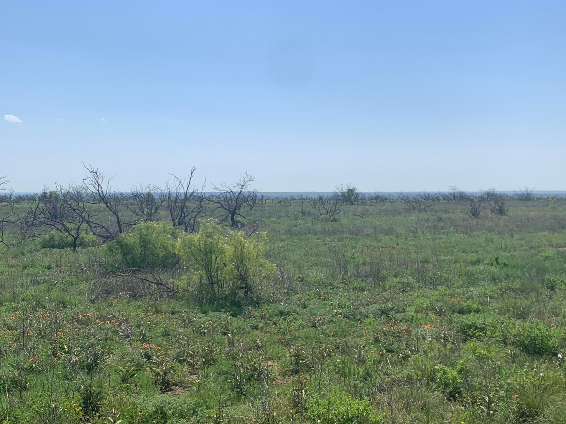 19.61 acres in Potter County gallery image 4