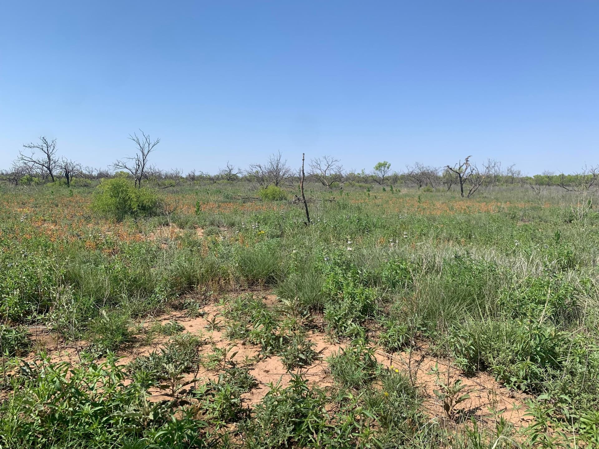 19.61 acres in Potter County featured view