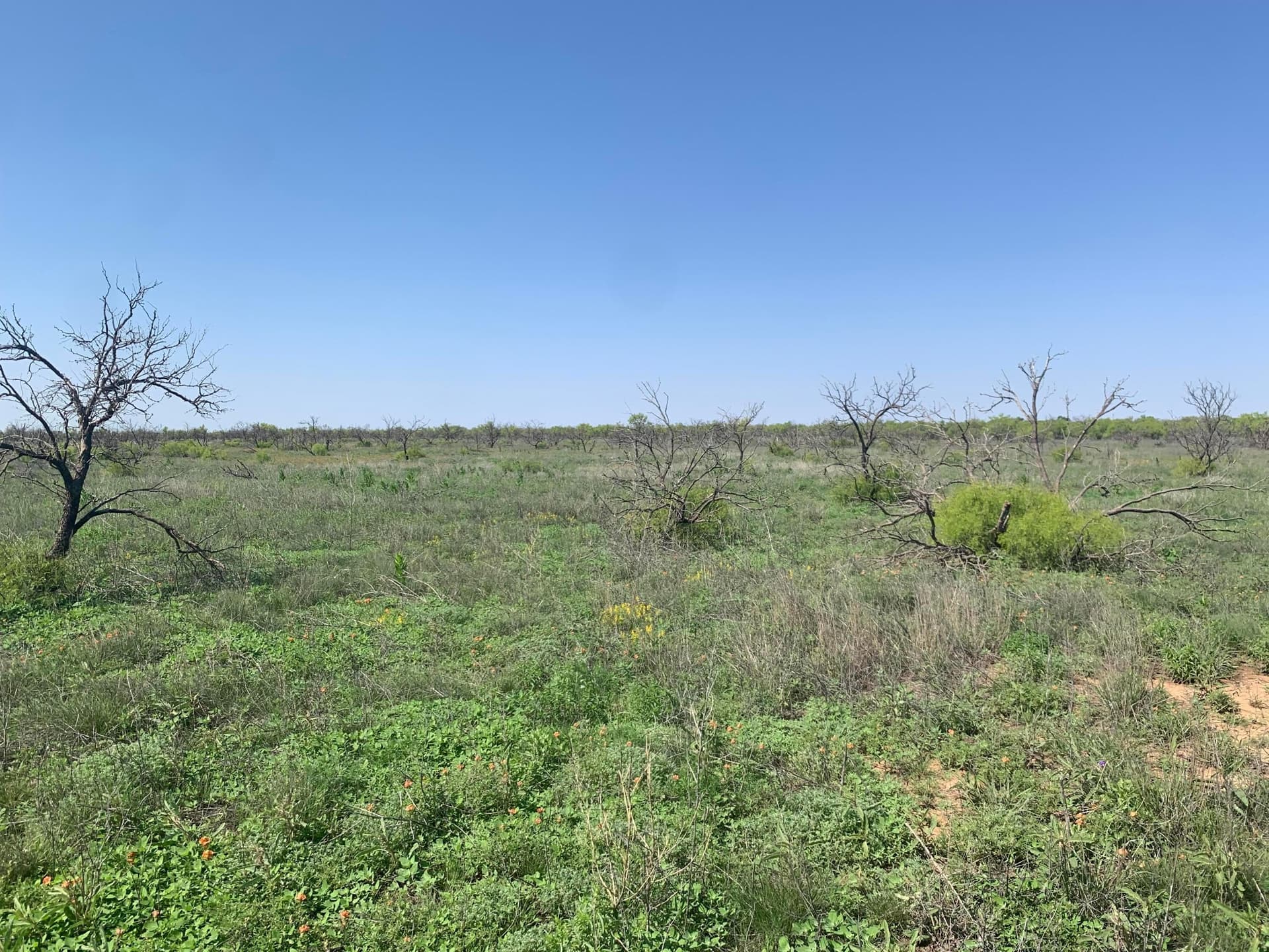 19.61 acres in Potter County gallery image 3