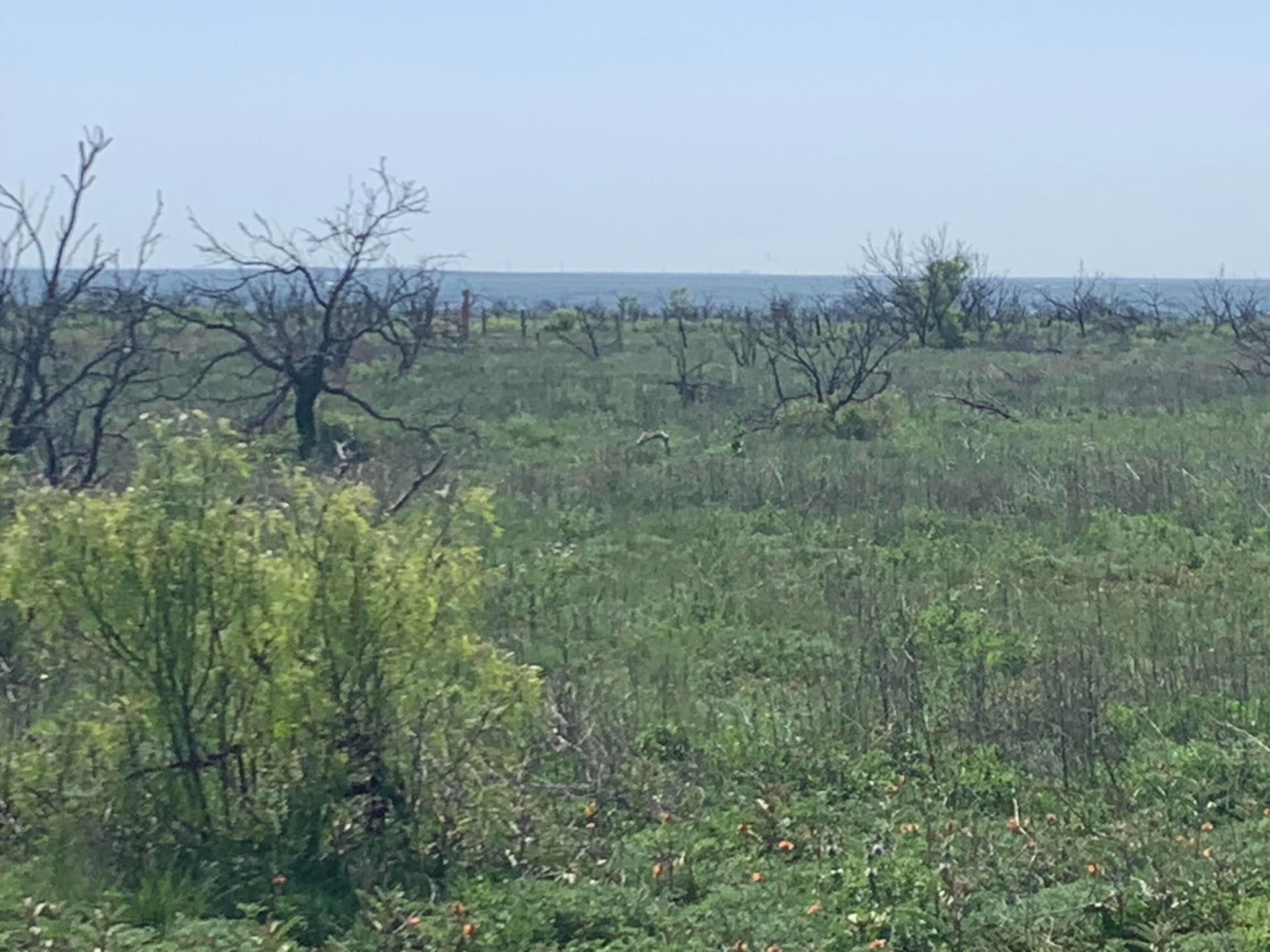 19.61 acres in Potter County gallery image 2
