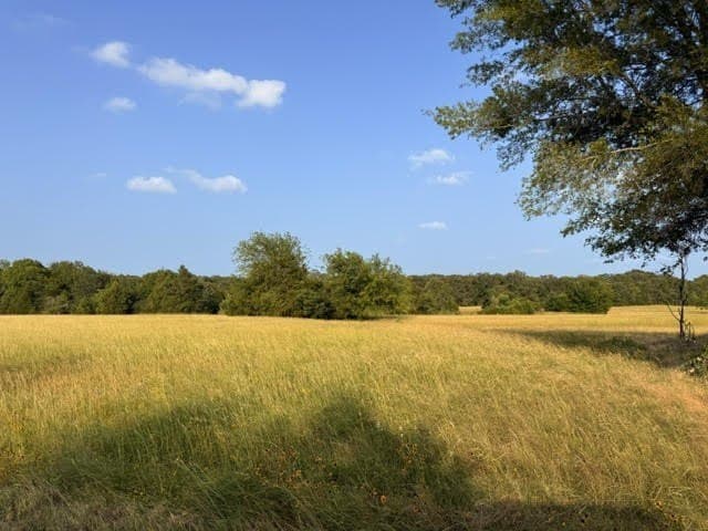 12.95 acres in Henderson County - photo 2