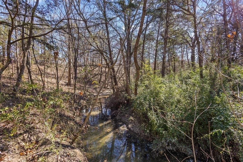 12.15 acres in Grayson County gallery image 4