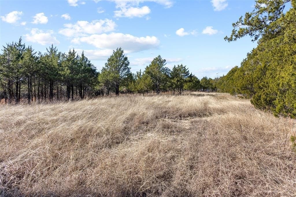 12.15 acres in Grayson County gallery image 3