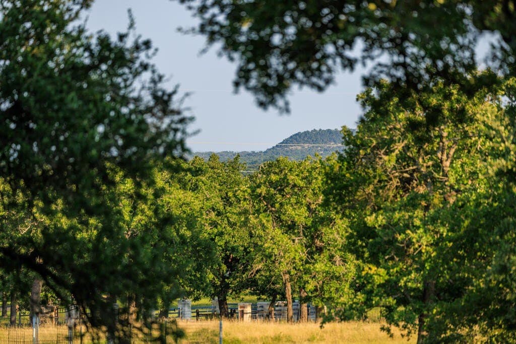 10.01 acres in Gillespie County - photo 108