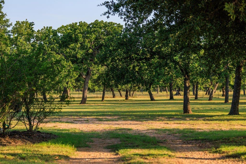 10.01 acres in Gillespie County - photo 107
