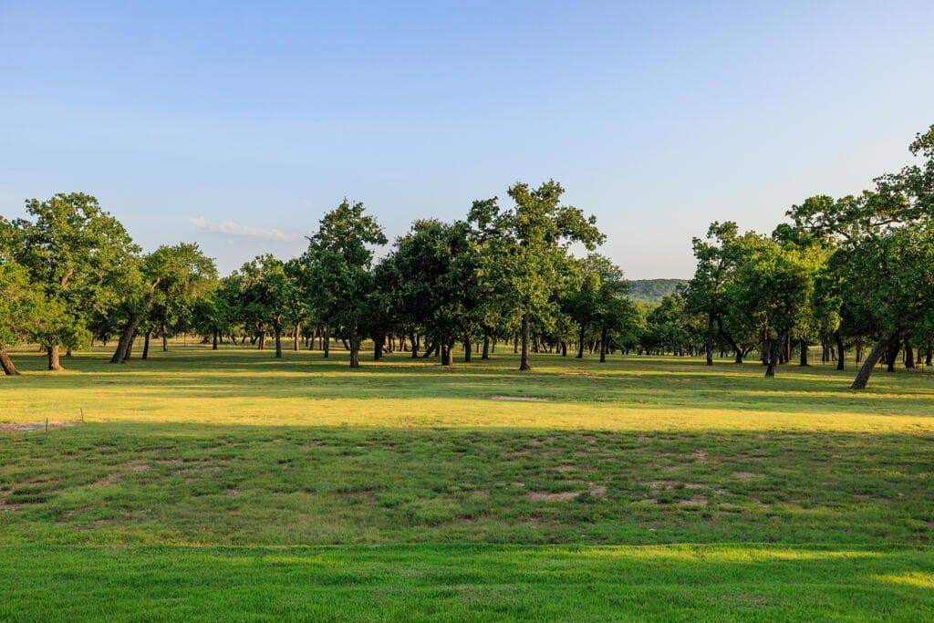 10.01 acres in Gillespie County - photo 92