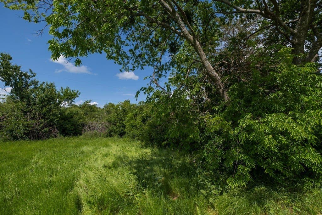 0.19 acres in Kaufman County gallery image 2