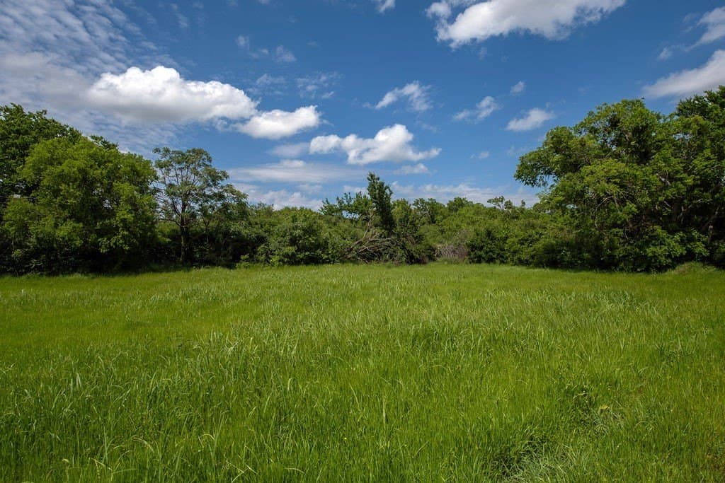0.19 acres in Kaufman County - photo 7