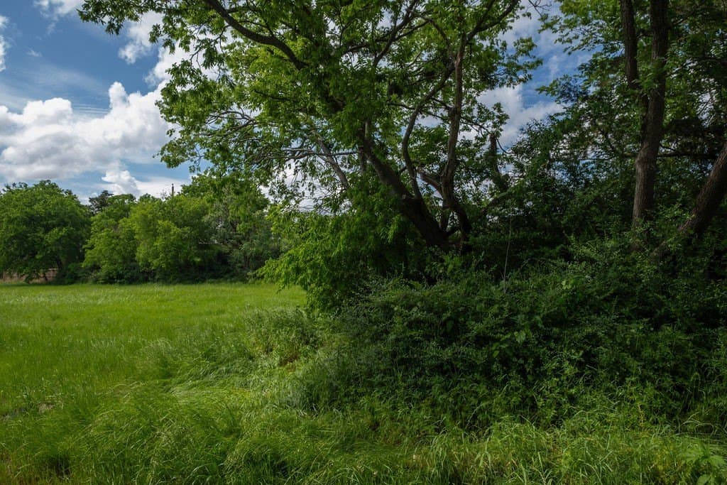 0.19 acres in Kaufman County gallery image 4