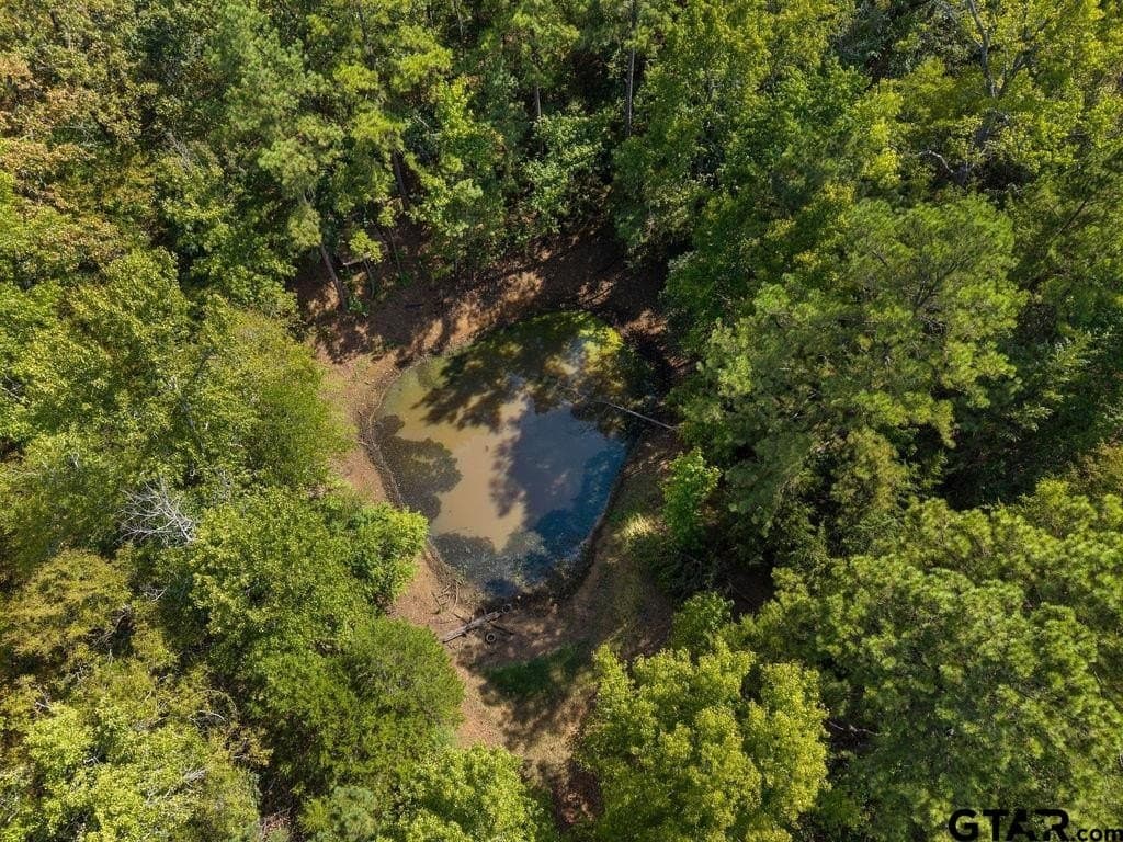 51.2 acres in Cherokee County - photo 35