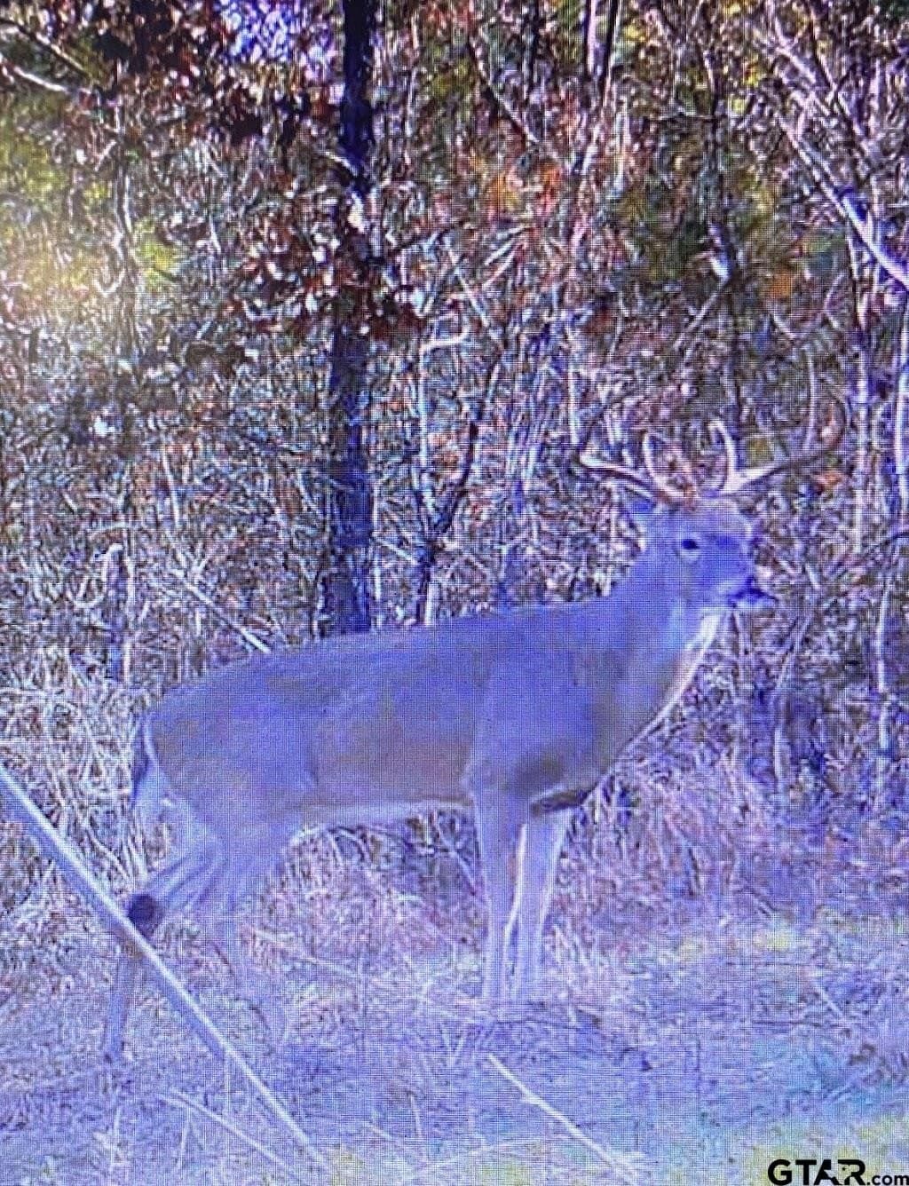 51.2 acres in Cherokee County - photo 43