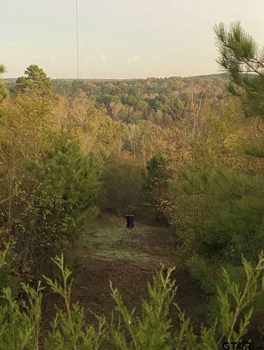 51.2 acres in Cherokee County - photo 45