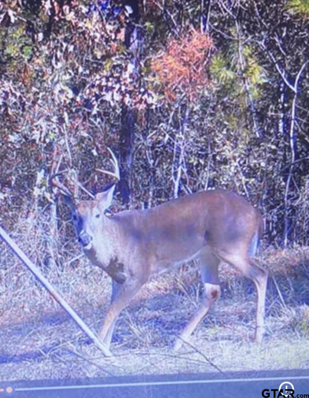 51.2 acres in Cherokee County - photo 44