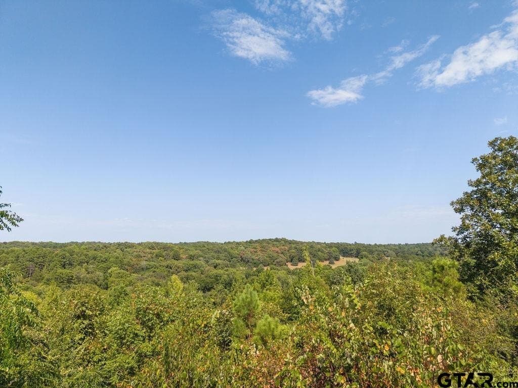 51.2 acres in Cherokee County - photo 36