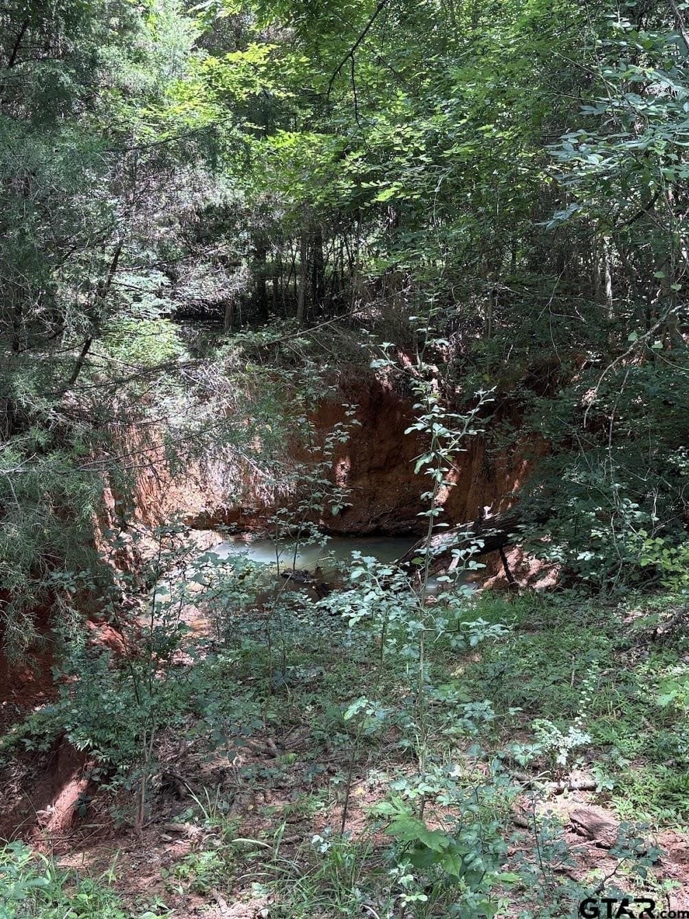 51.2 acres in Cherokee County - photo 47