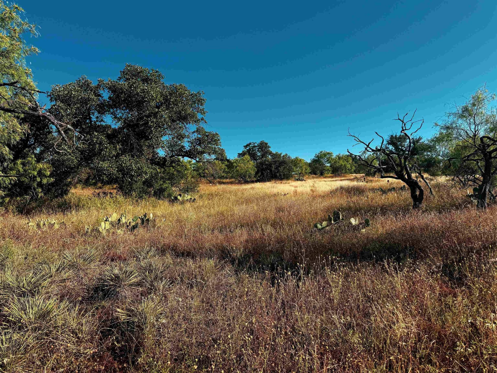 74.36 acres in Llano County - photo 7