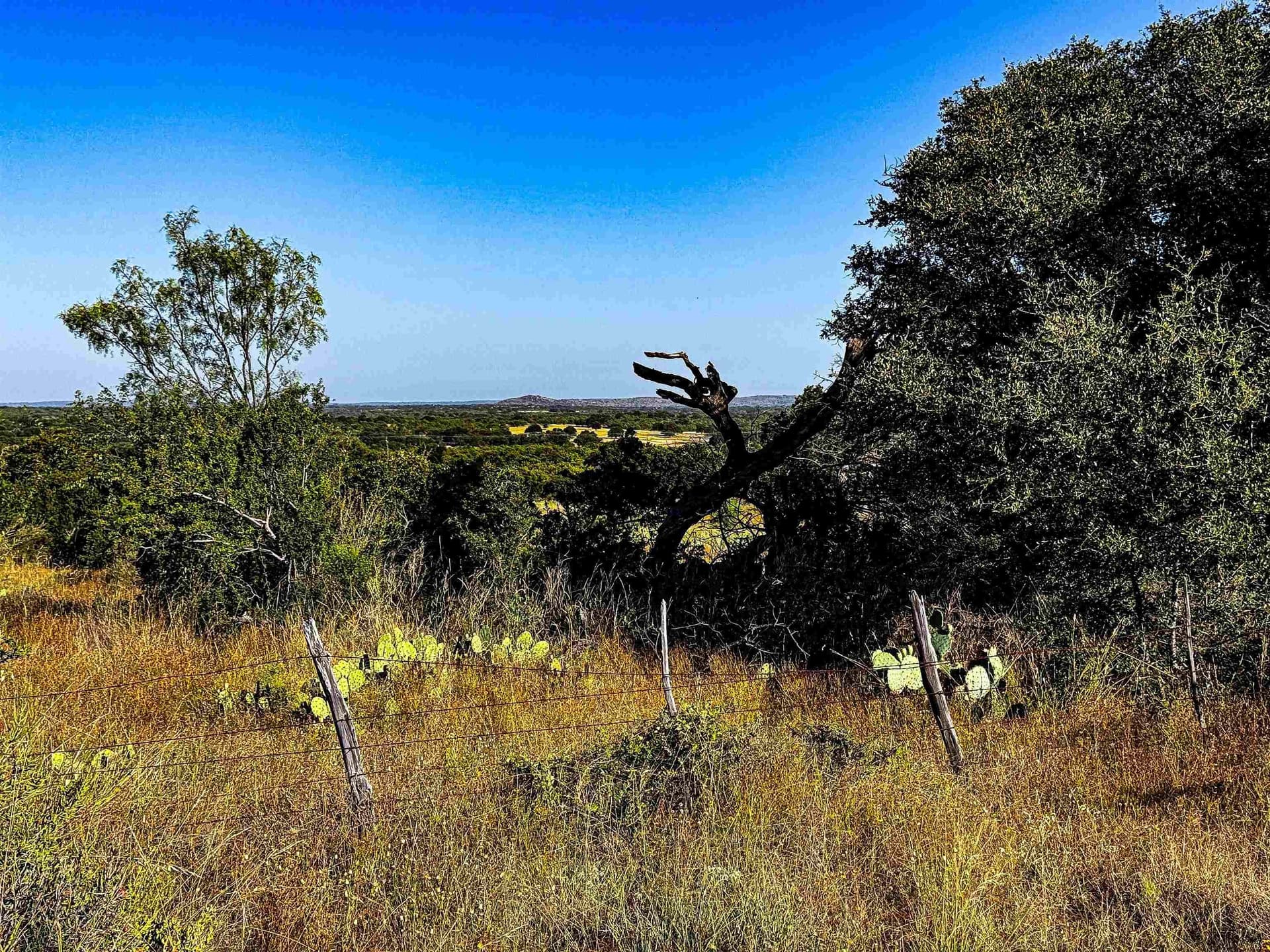 74.36 acres in Llano County gallery image 2