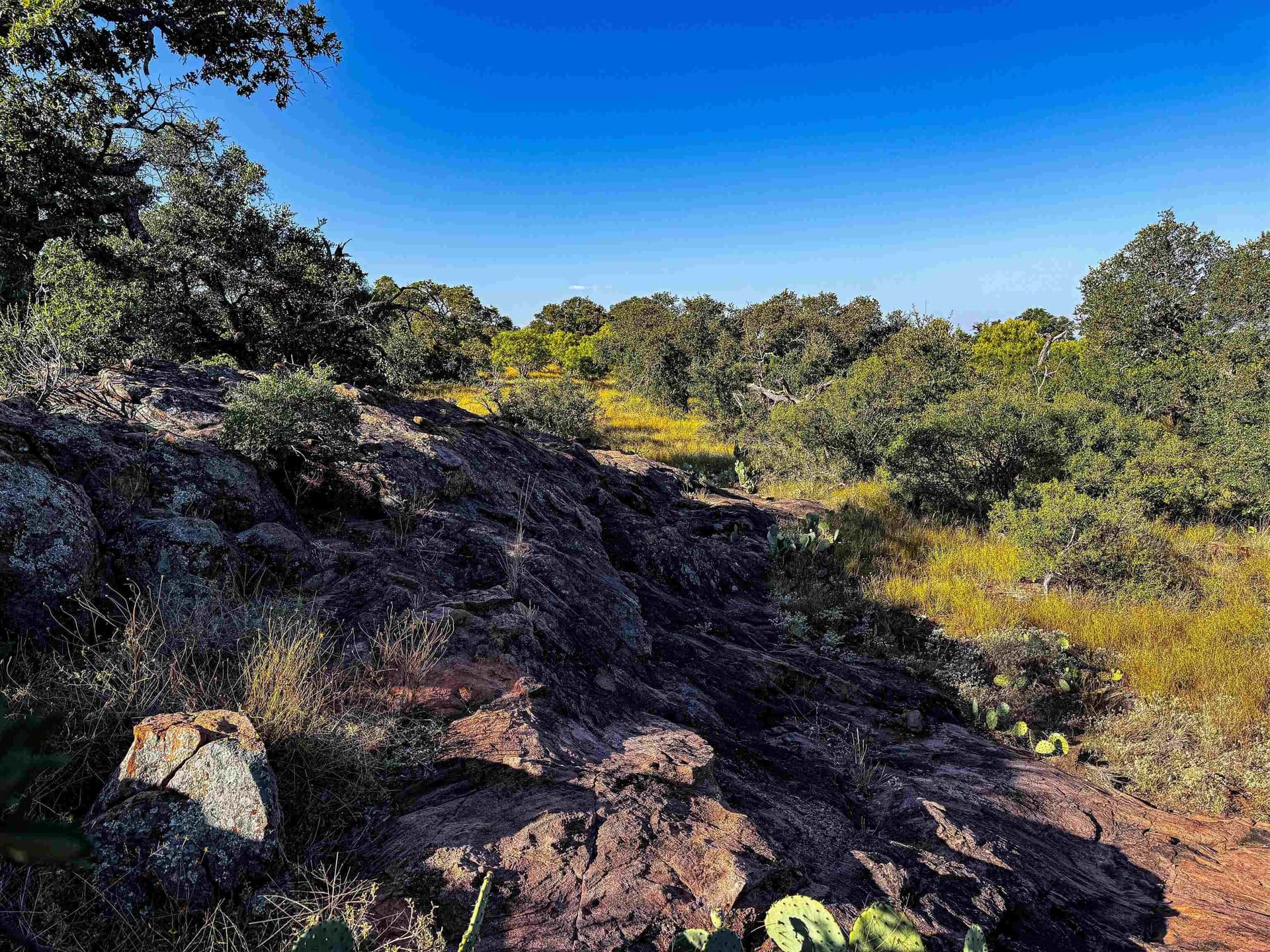 74.36 acres in Llano County - photo 8