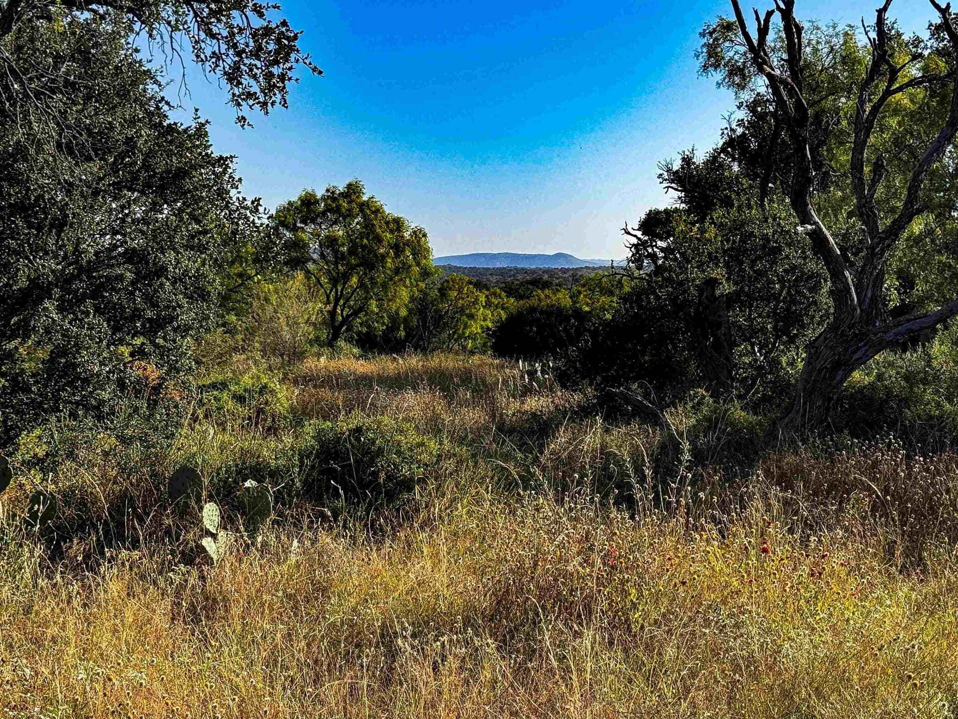 74.36 acres in Llano County - photo 18