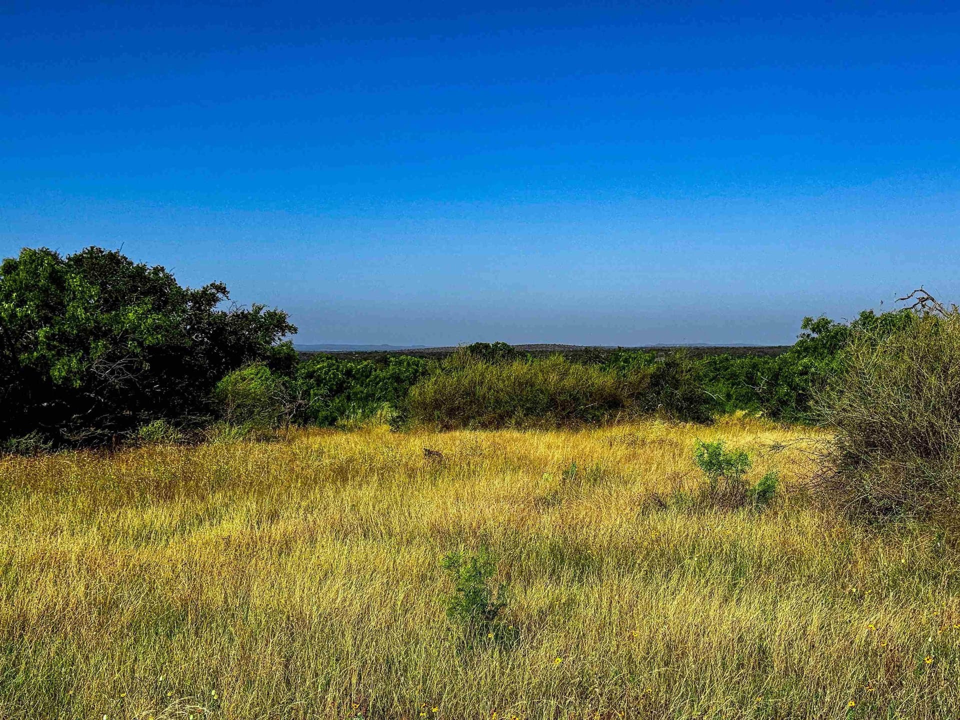 74.36 acres in Llano County - photo 11