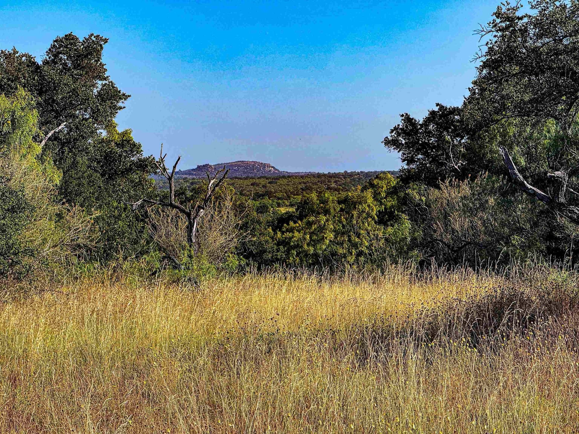 74.36 acres in Llano County - photo 13