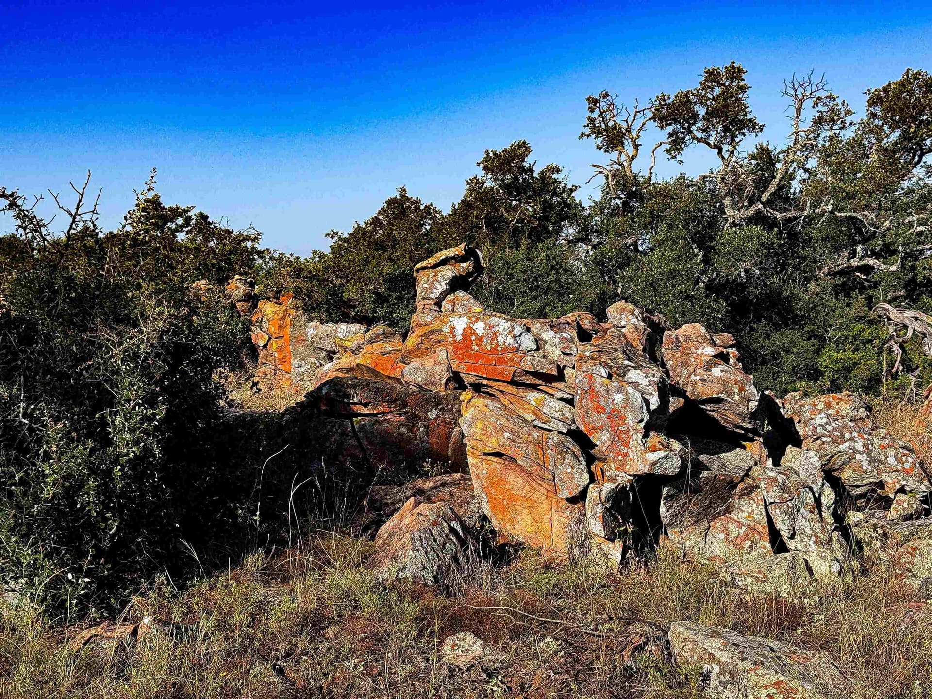 74.36 acres in Llano County gallery image 3