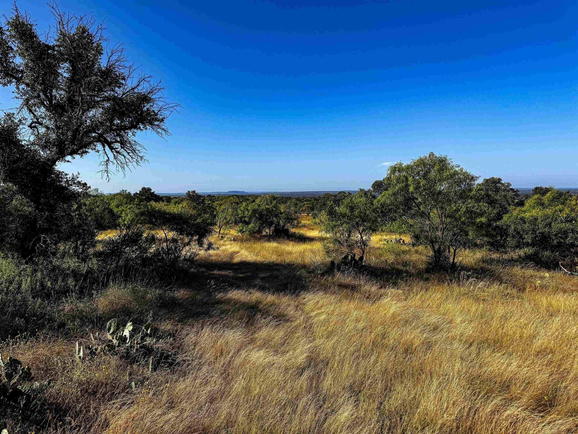 74.36 acres in Llano County - photo 9