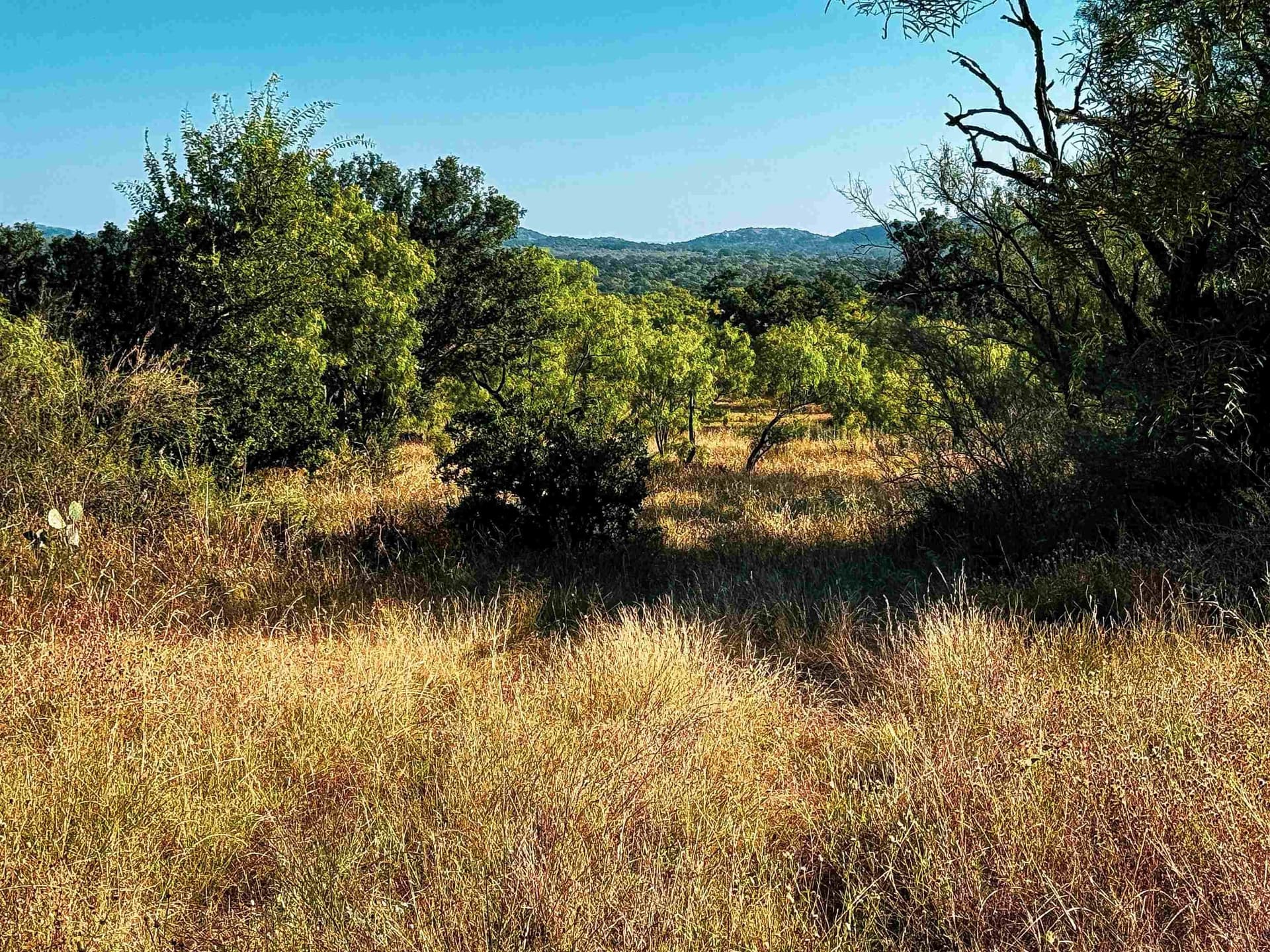 74.36 acres in Llano County - photo 16