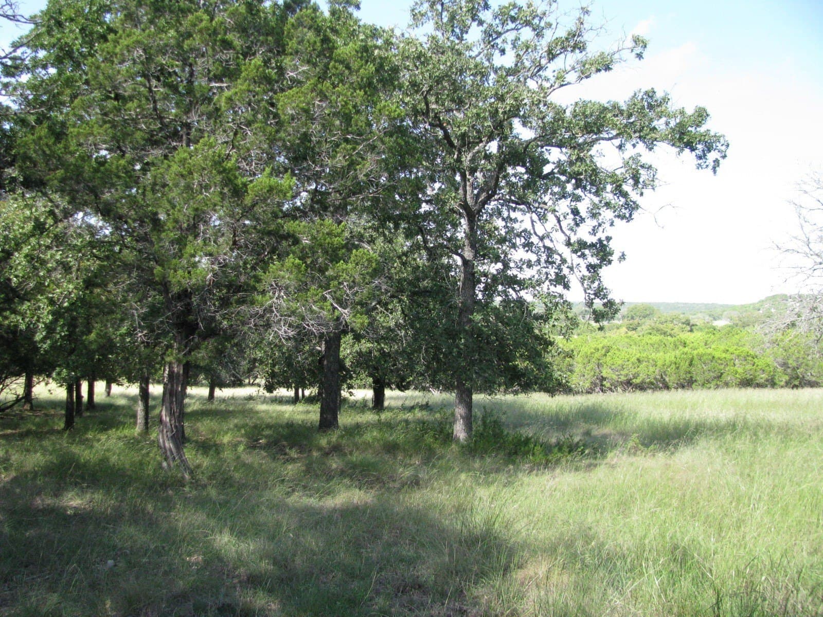 62.14 acres in Coryell County - photo 14