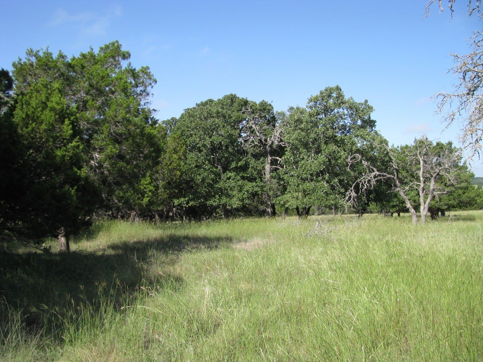 62.14 acres in Coryell County - photo 20