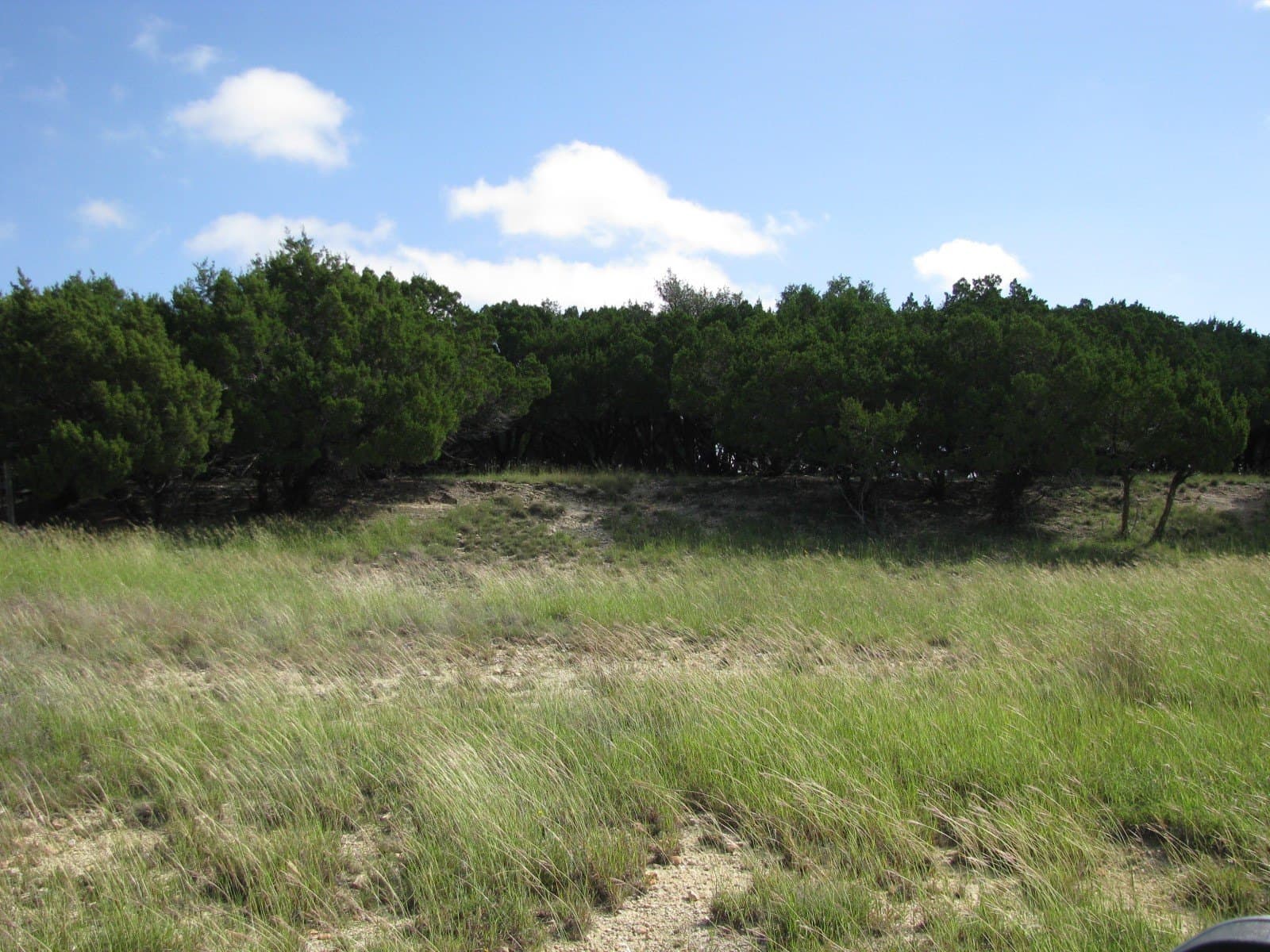 62.14 acres in Coryell County - photo 32