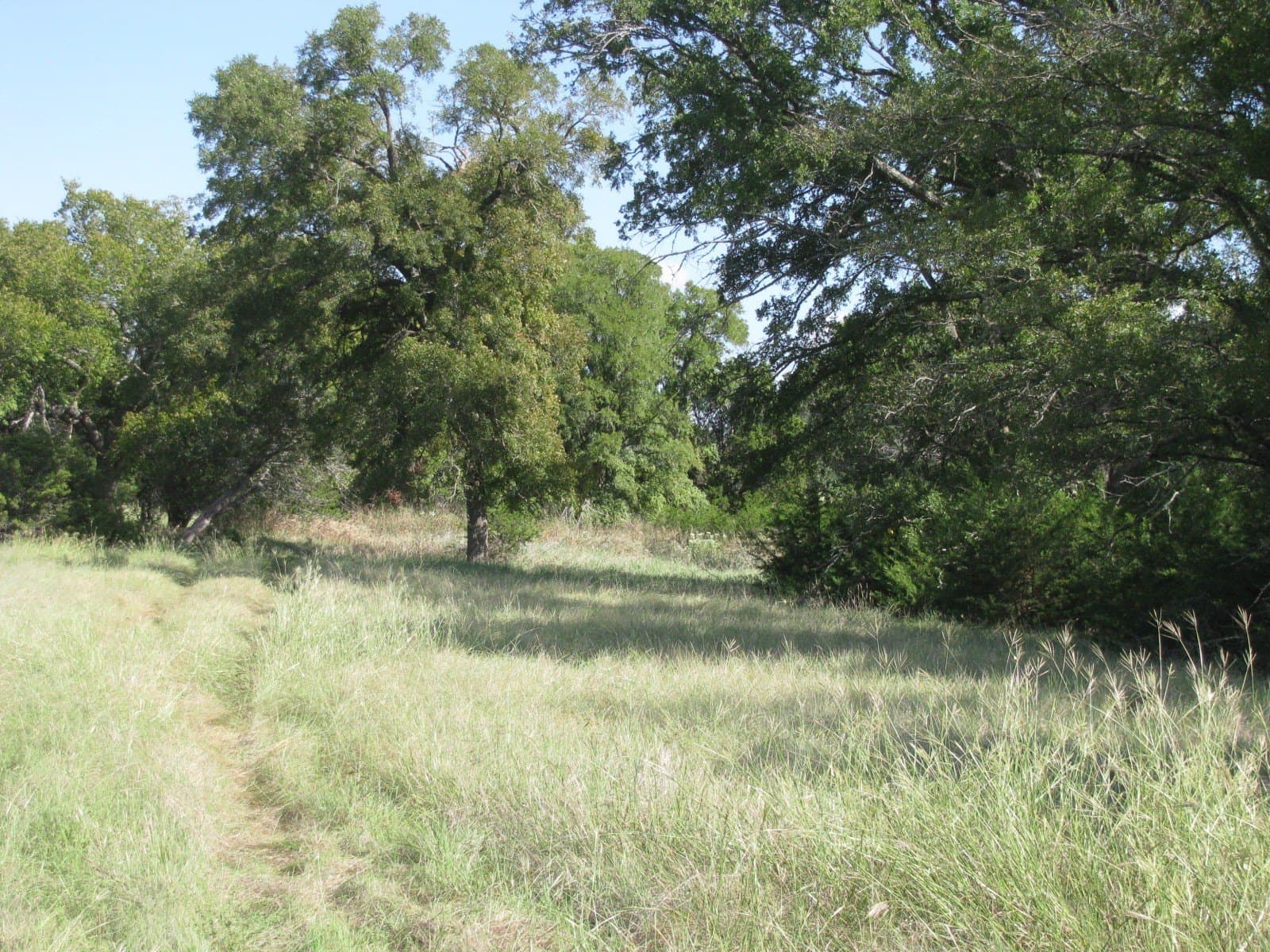 62.14 acres in Coryell County - photo 29