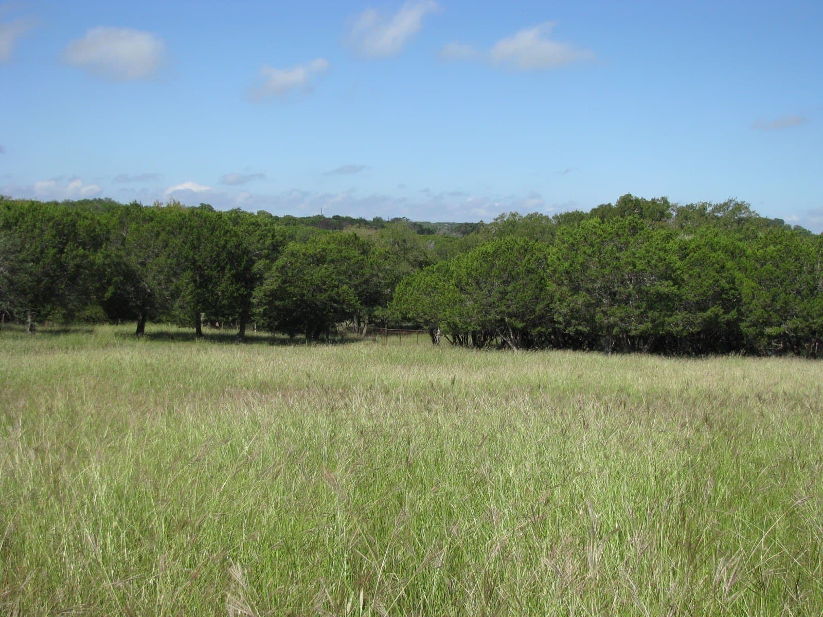 62.14 acres in Coryell County - photo 18