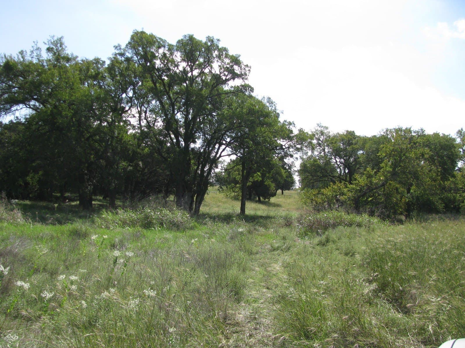 62.14 acres in Coryell County - photo 31