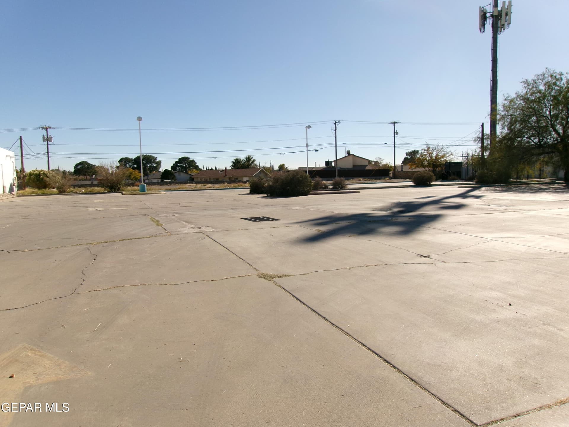 0.82 acres in El Paso County - photo 6