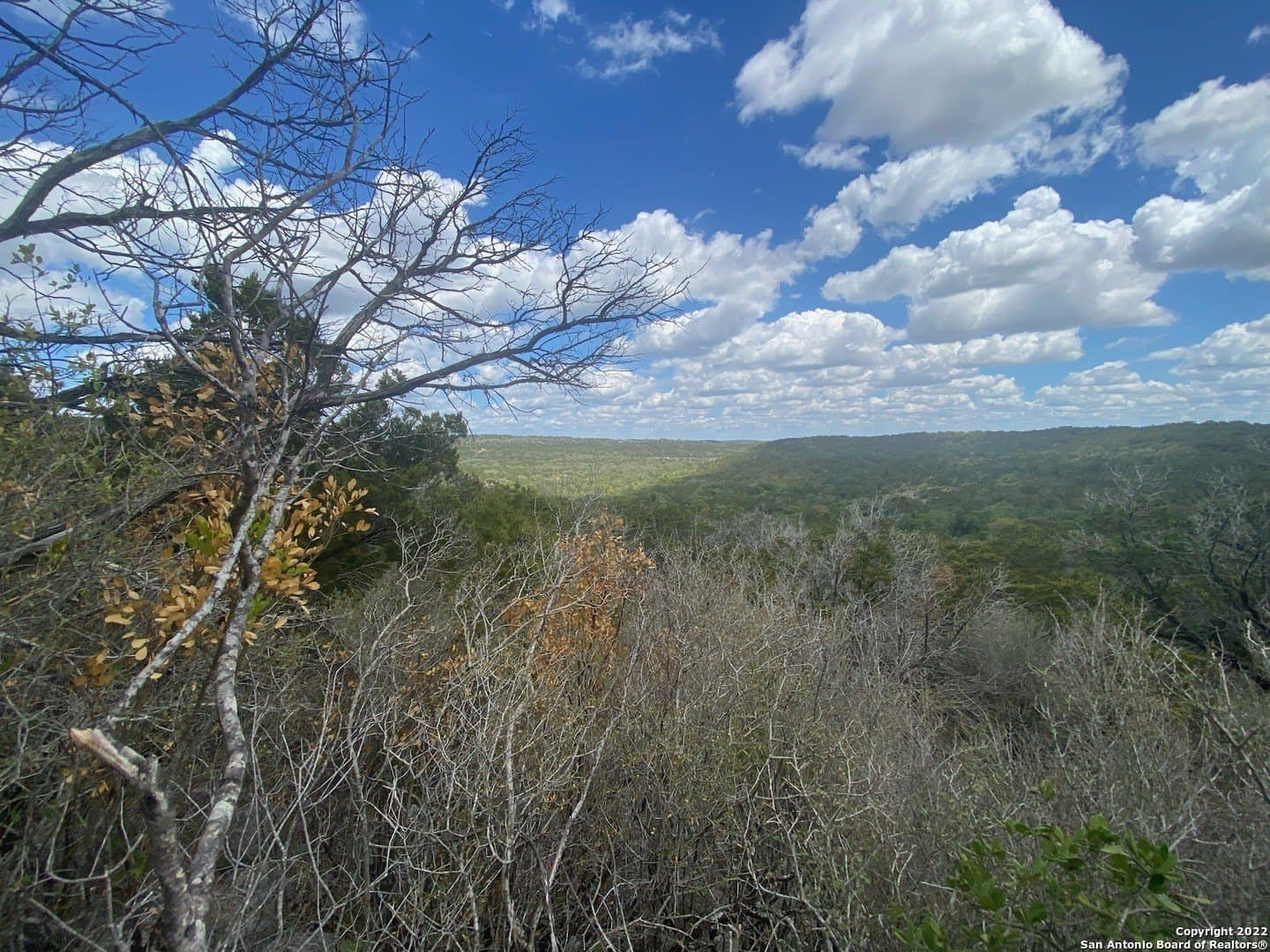 20 acres in Medina County gallery image 2