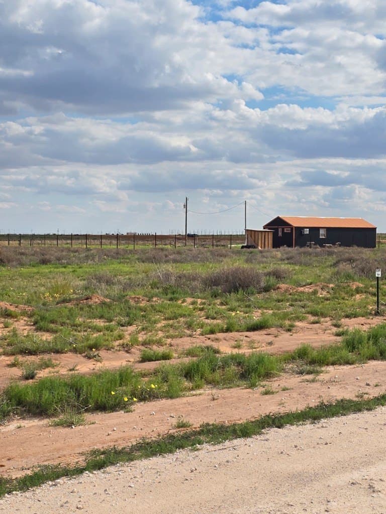 1 acres in Midland County gallery image 4