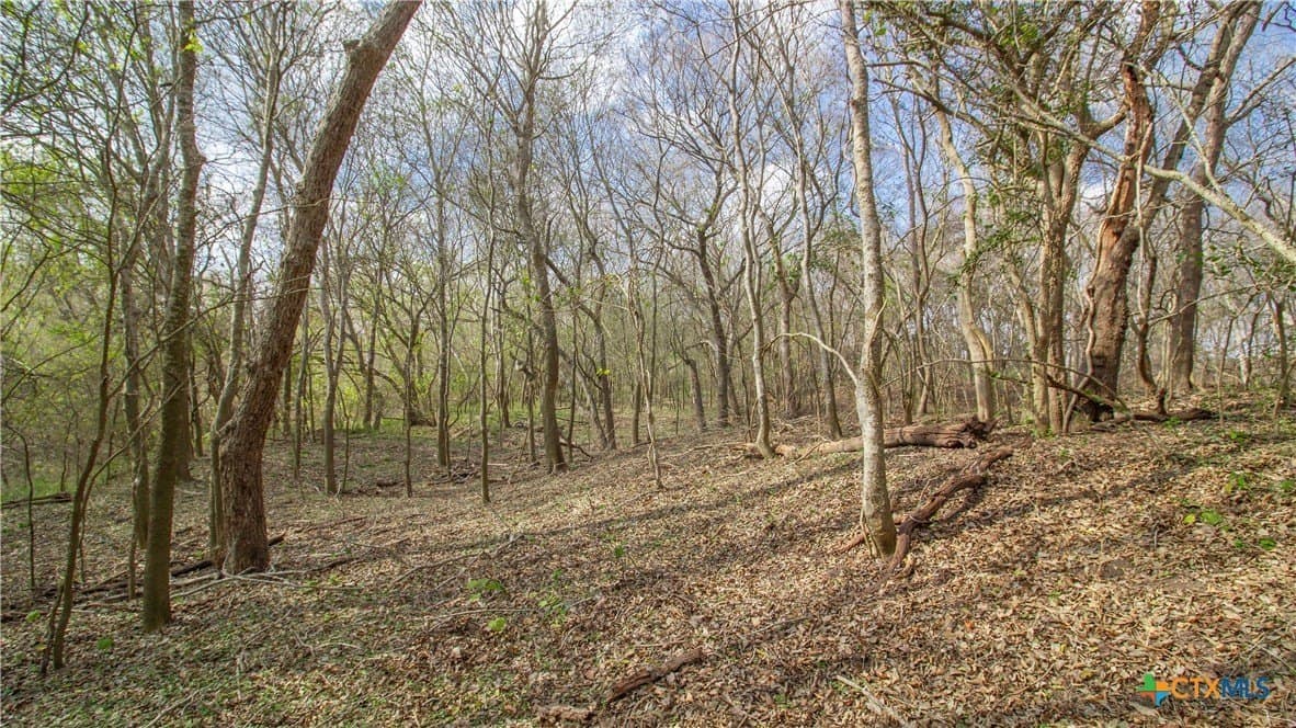 27.04 acres in Goliad County gallery image 4