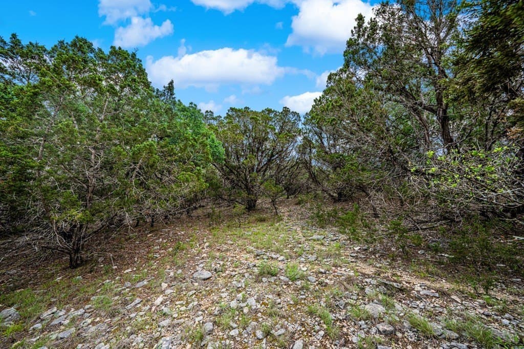 51.3 acres in Kerr County - photo 15