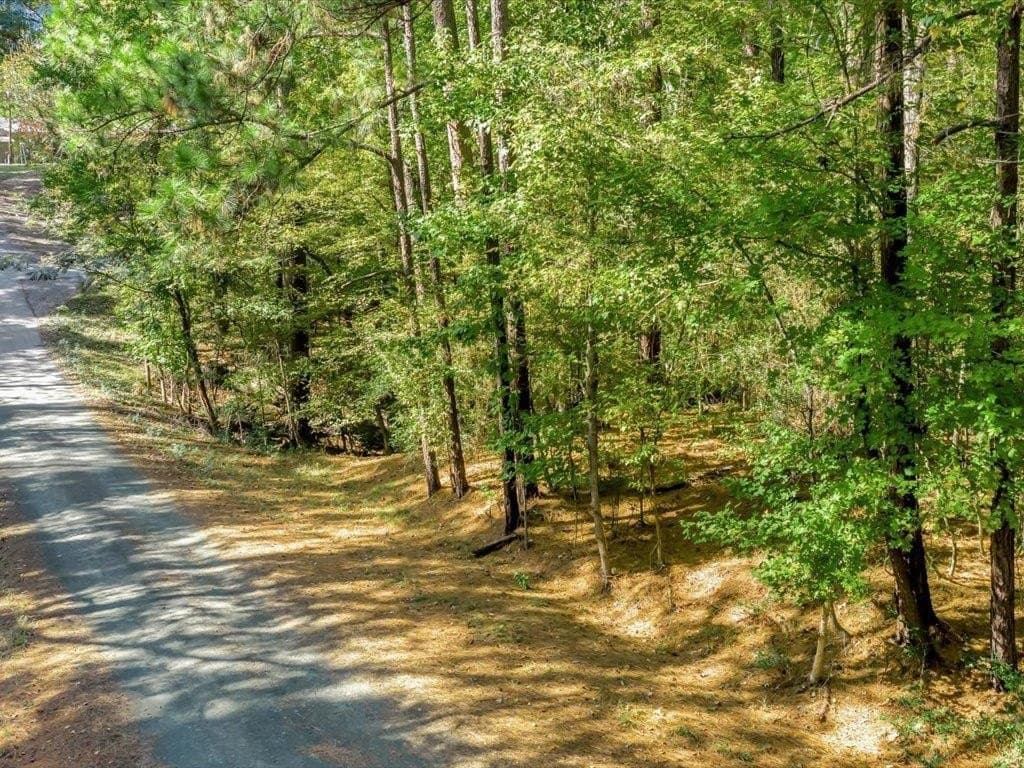 1 acres in Texas County
