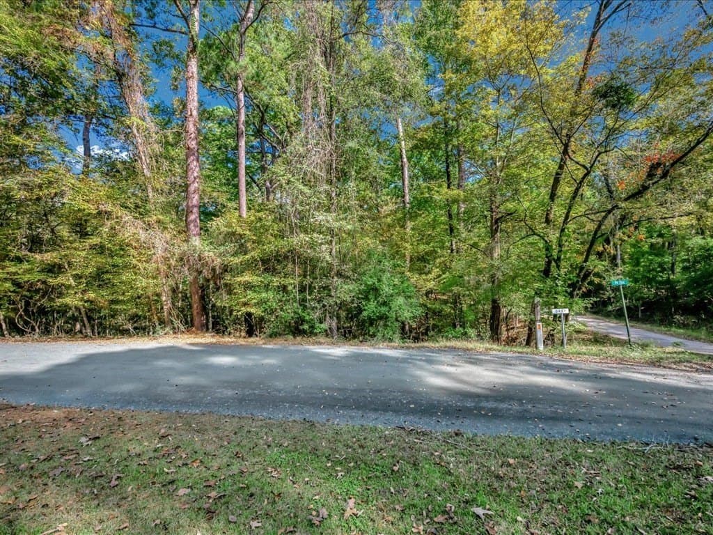 1 acres in Texas County gallery image 2