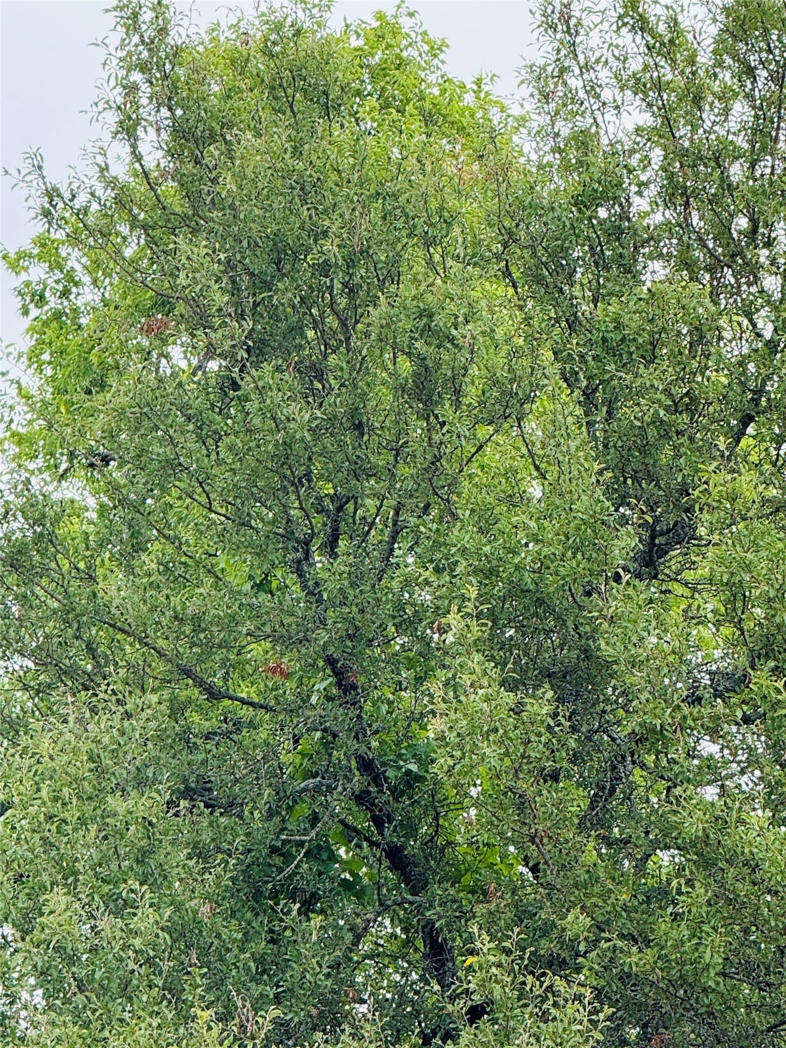 1.04 acres in Hill County gallery image 3