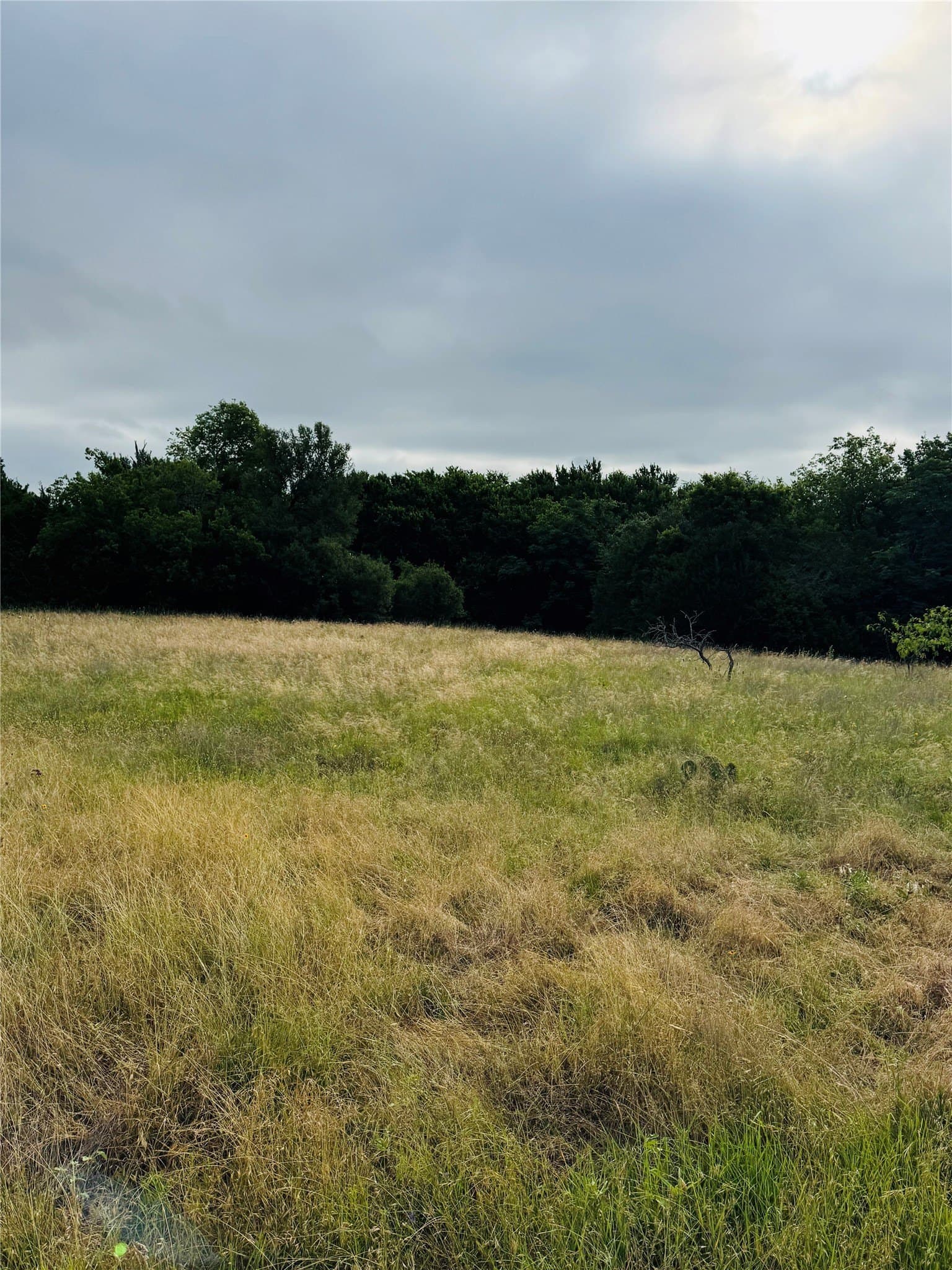 1.04 acres in Hill County featured view
