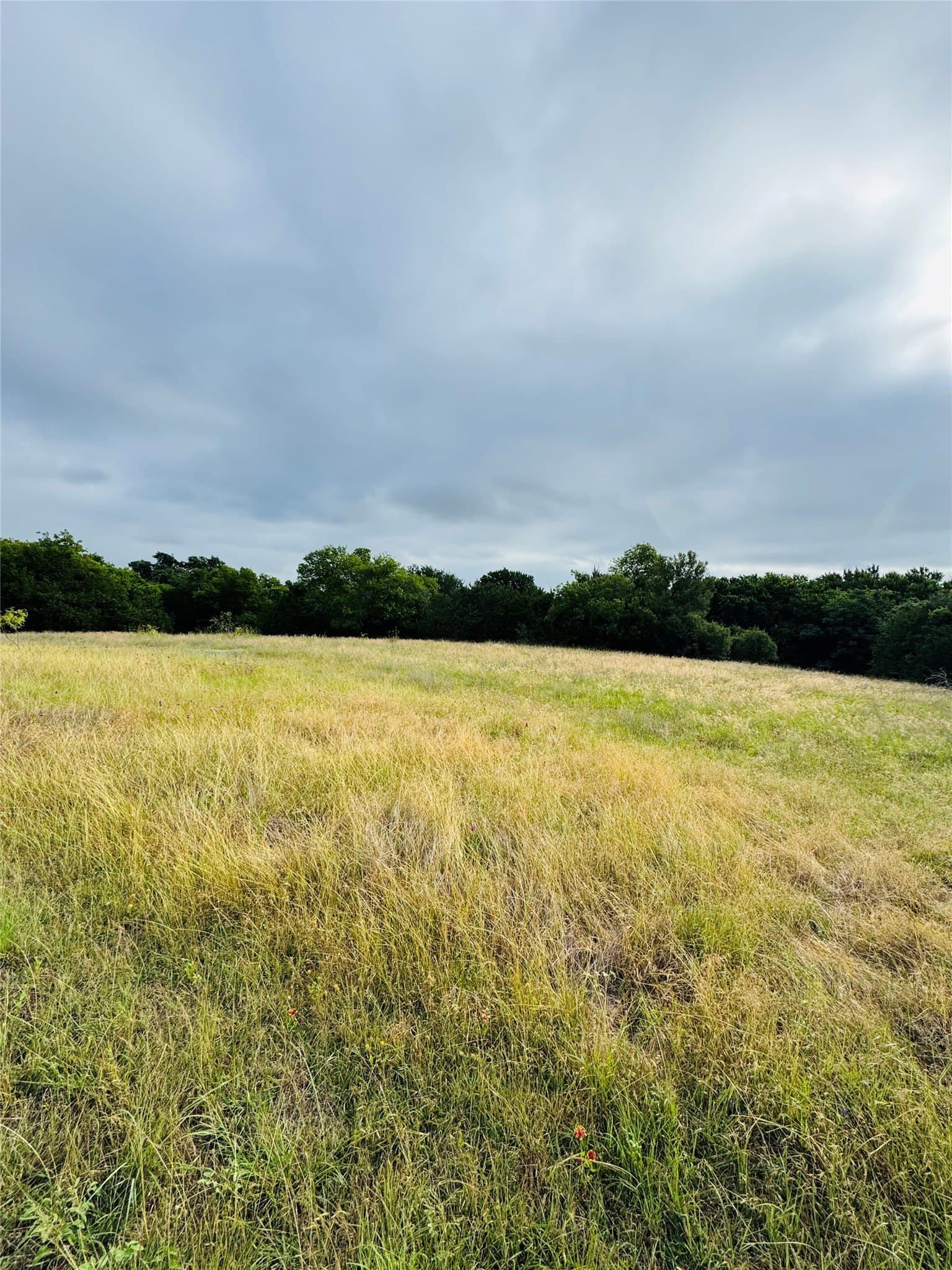 1.04 acres in Hill County gallery image 2