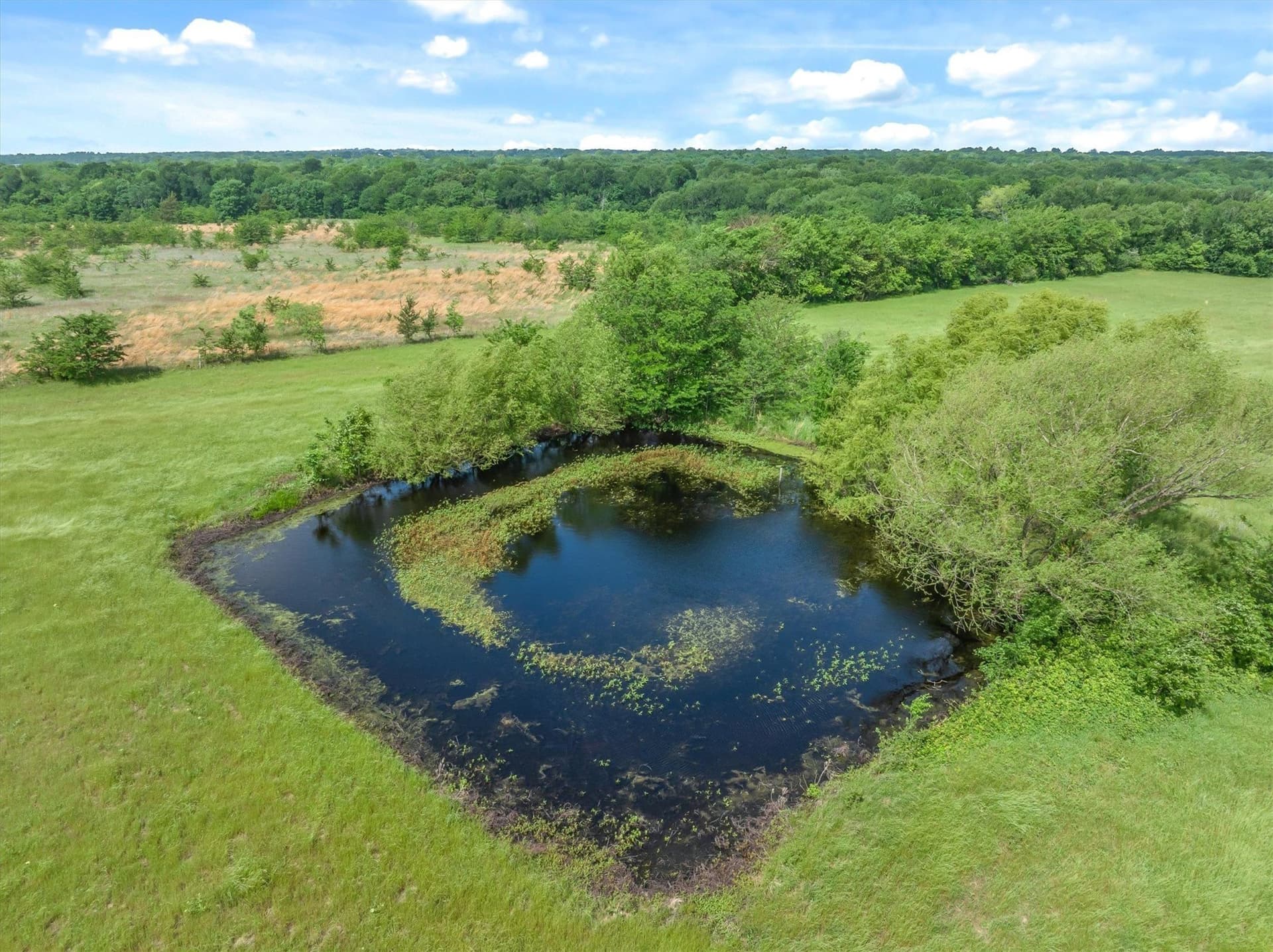 175.2 acres in Kaufman County - photo 33