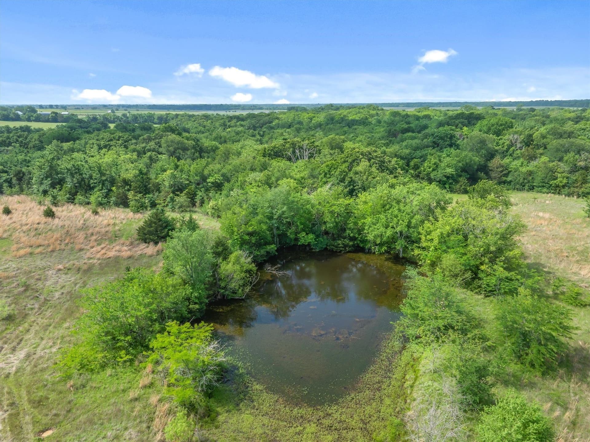 175.2 acres in Kaufman County - photo 35