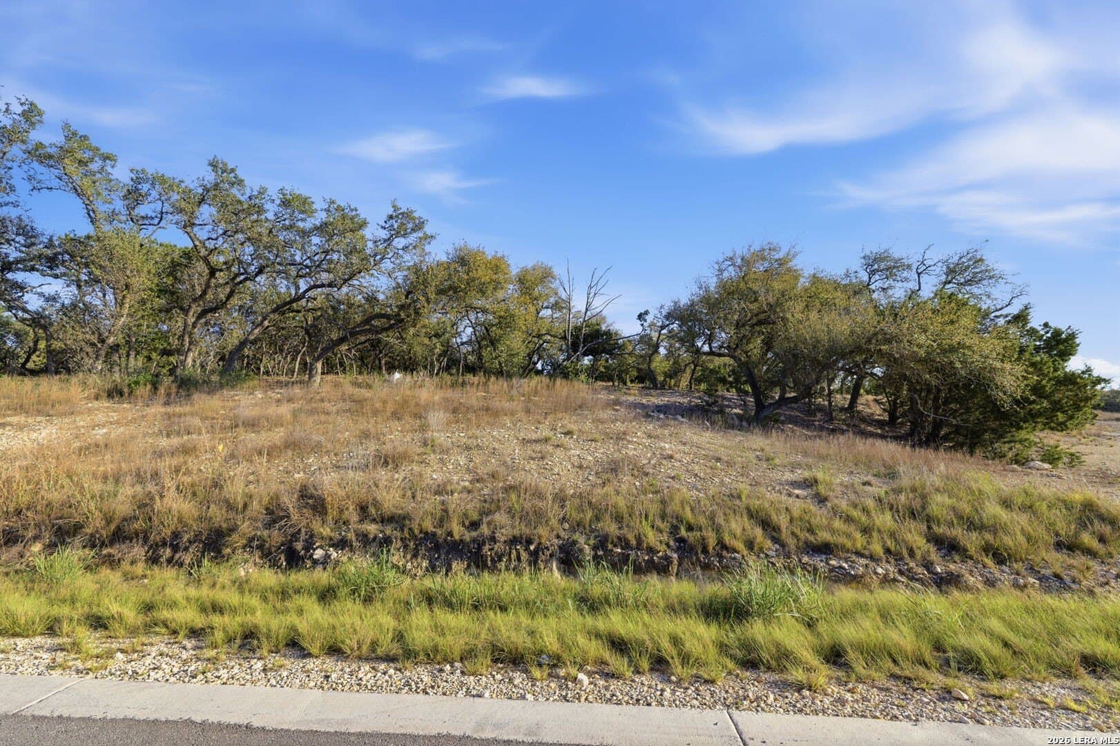 1.04 acres in Comal County gallery image 2