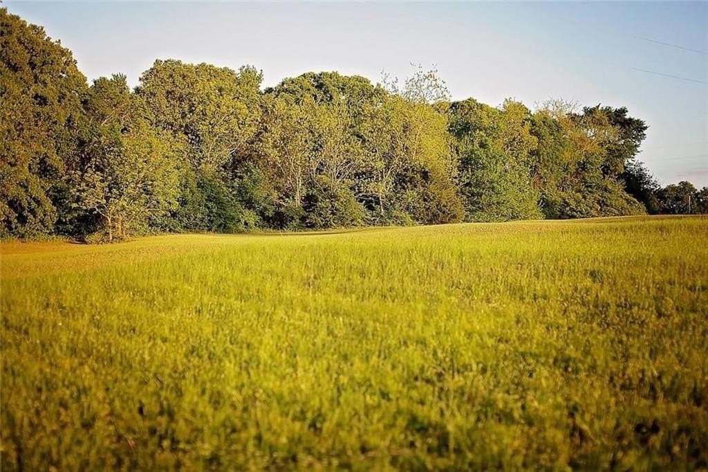 1.83 acres in Rains County gallery image 4