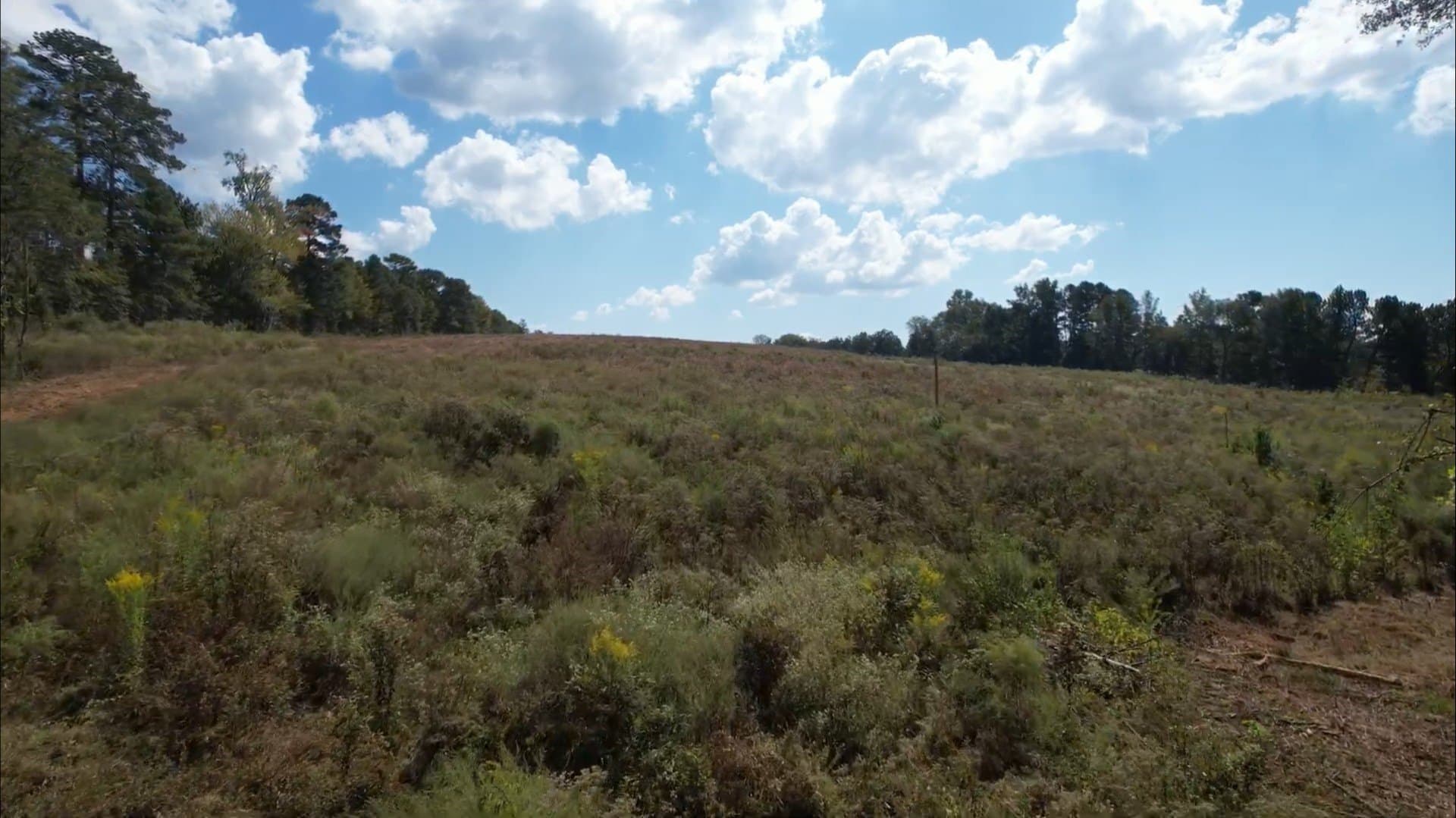 5.47 acres in Rusk County - photo 3